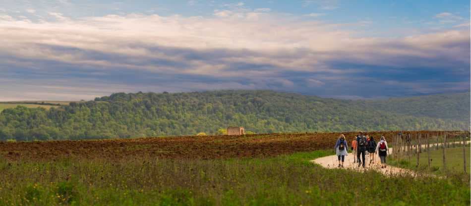 St Francis Way: Chiusi to Città di Castello