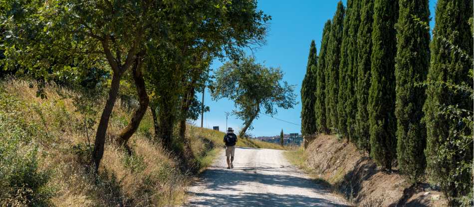 Via Francigena: Best of Tuscany Rambler