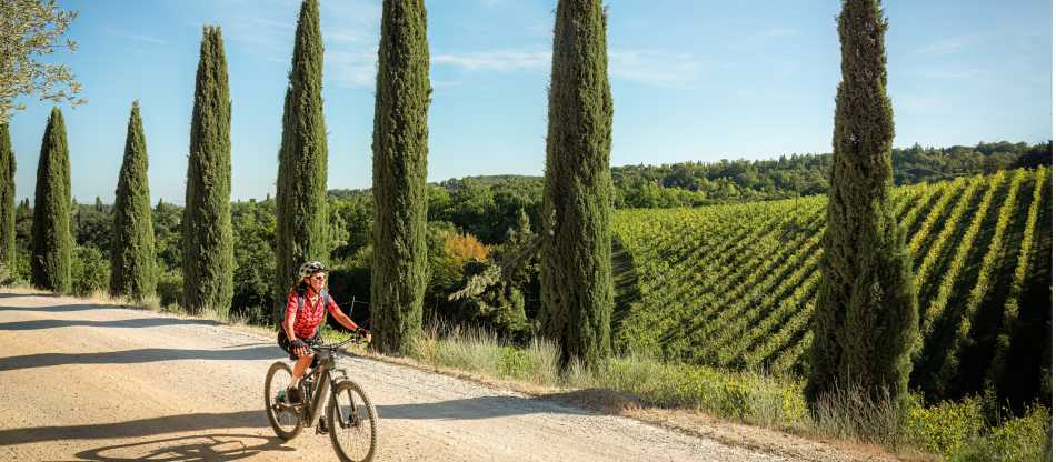 Cycle Pisa to Florence