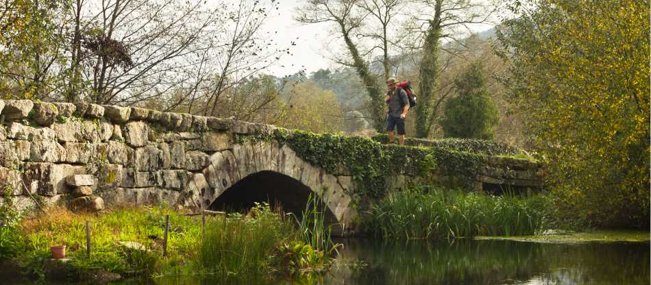 Full Portuguese Camino