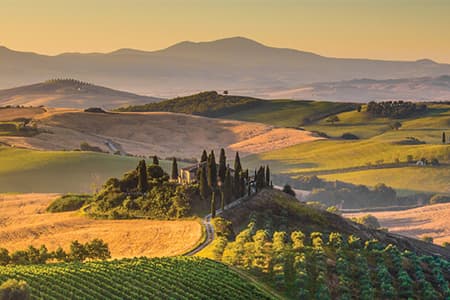 Spotlight on Tuscany