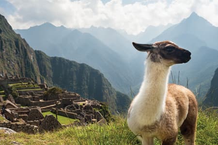 Peru: Machu Picchu and Lake Titicaca
