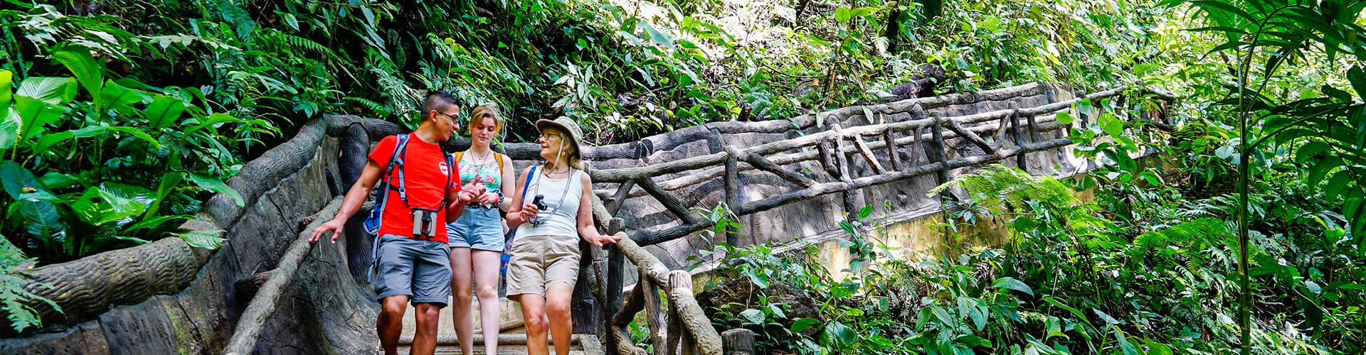 Enjoy a guided tour through La Fortuna's lush rainforest with our Leaders.