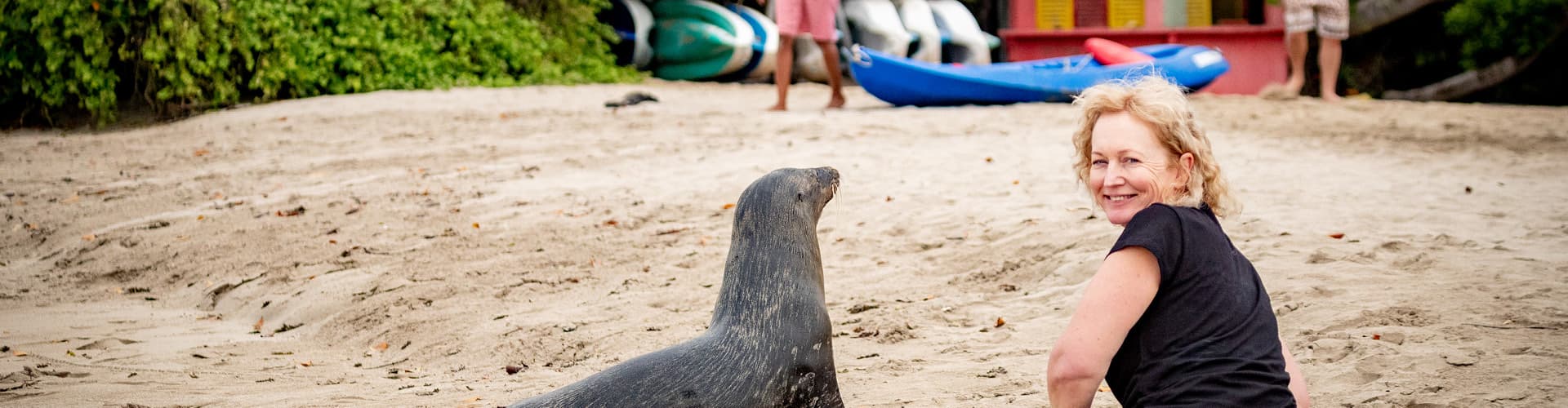 Galapagos seal