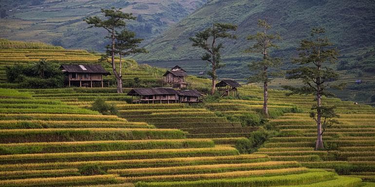 Classic Vietnam: Sapa to Ho Chi Minh image