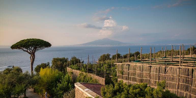Local Living Italy—Sorrento image