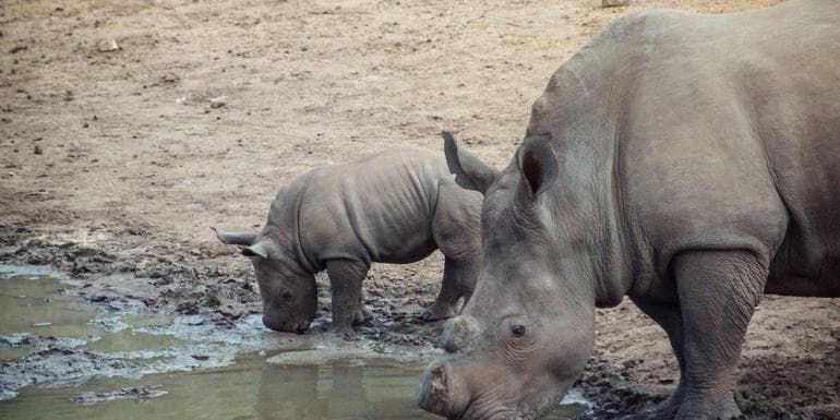 Southern Africa Overland Safari & Participation Camping image