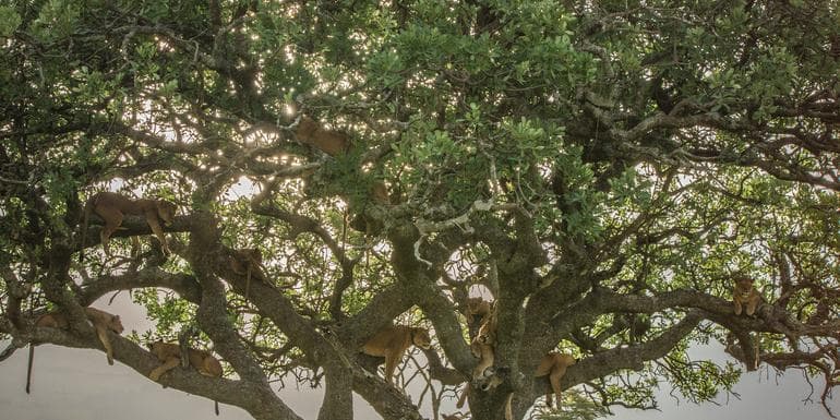 Nairobi to Joburg Overland: Craters & Camping image