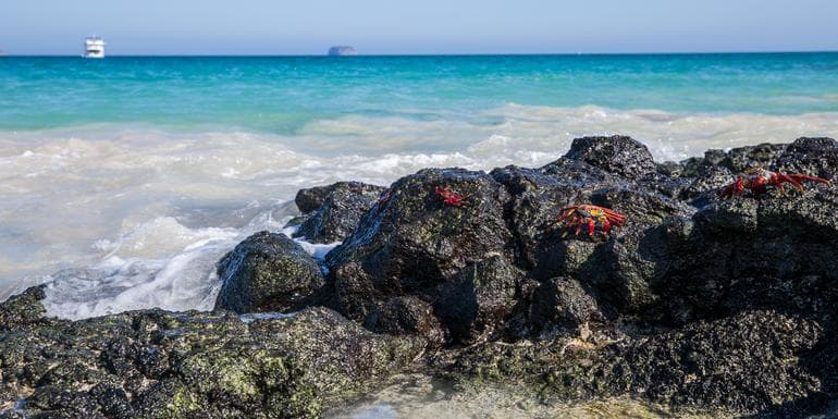 Galápagos — South & East Islands aboard the Monserrat image