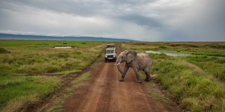 Kenya to Zimbabwe Overland Safari & Participation Camping image