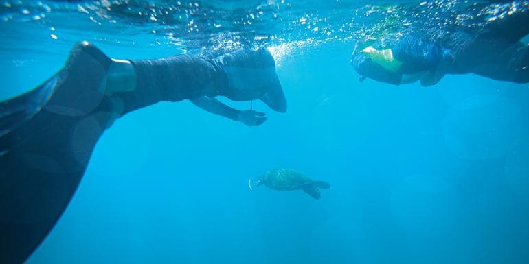 Galápagos Central Islands & Inca Discovery image