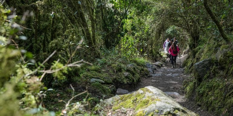 Peru: Inca Trail & the Amazon image