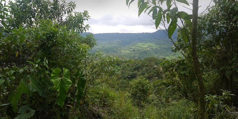 La Selva Lodge - 5 Day Independent Adventure image