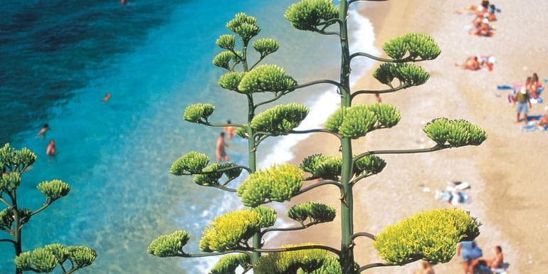 The Dalmatian Coast: Croatia, Corfu & Medieval Cities image