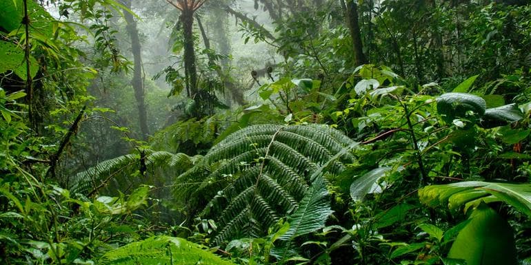 Costa Rica Volcanoes & Cloud Forest Independent Adventure image