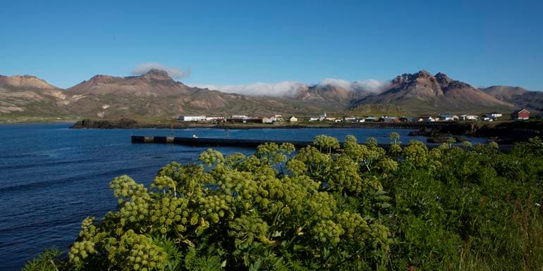 Local Living Iceland— Bakkagerði image