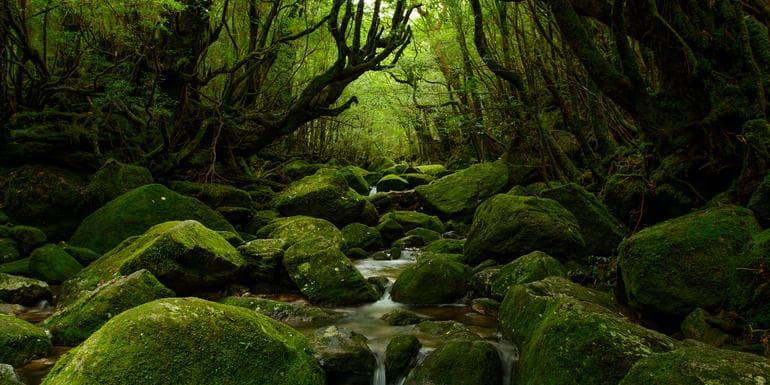 Explore Southern Japan image