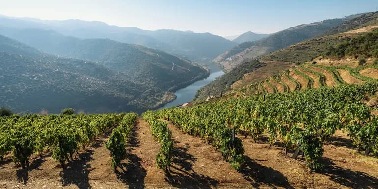 Signature: Portugal's Porto, Douro Valley, & Lisbon image