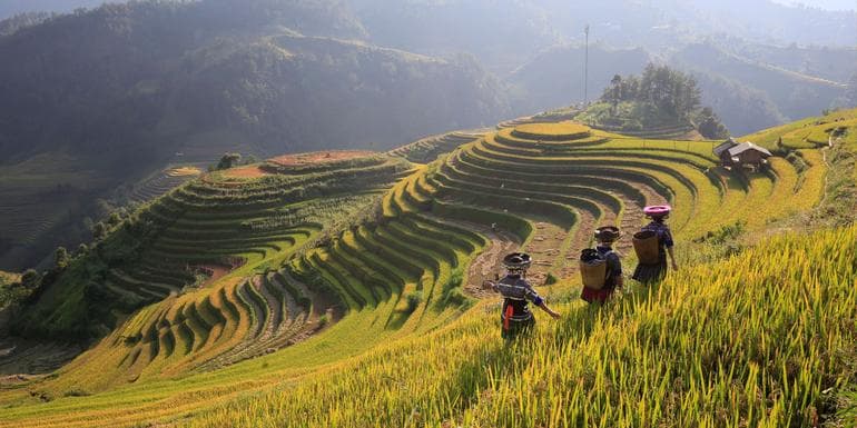 North & Central Vietnam: Hanoi, Hoi An & Countryside Adventures image