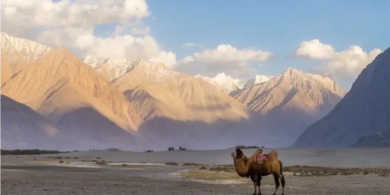 Northern India & Himalayan Trails image