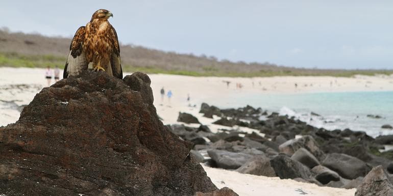 Discover Machu Picchu and Galápagos - Land & Sea Central Islands image