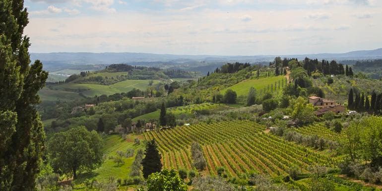 Italy: Tuscany and Umbria Vineyard Walks image