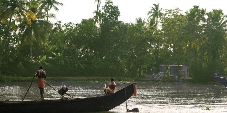 South India: Explore Kerala image