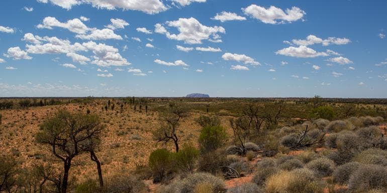 Outback to the Red Centre: Adelaide to Alice Springs image