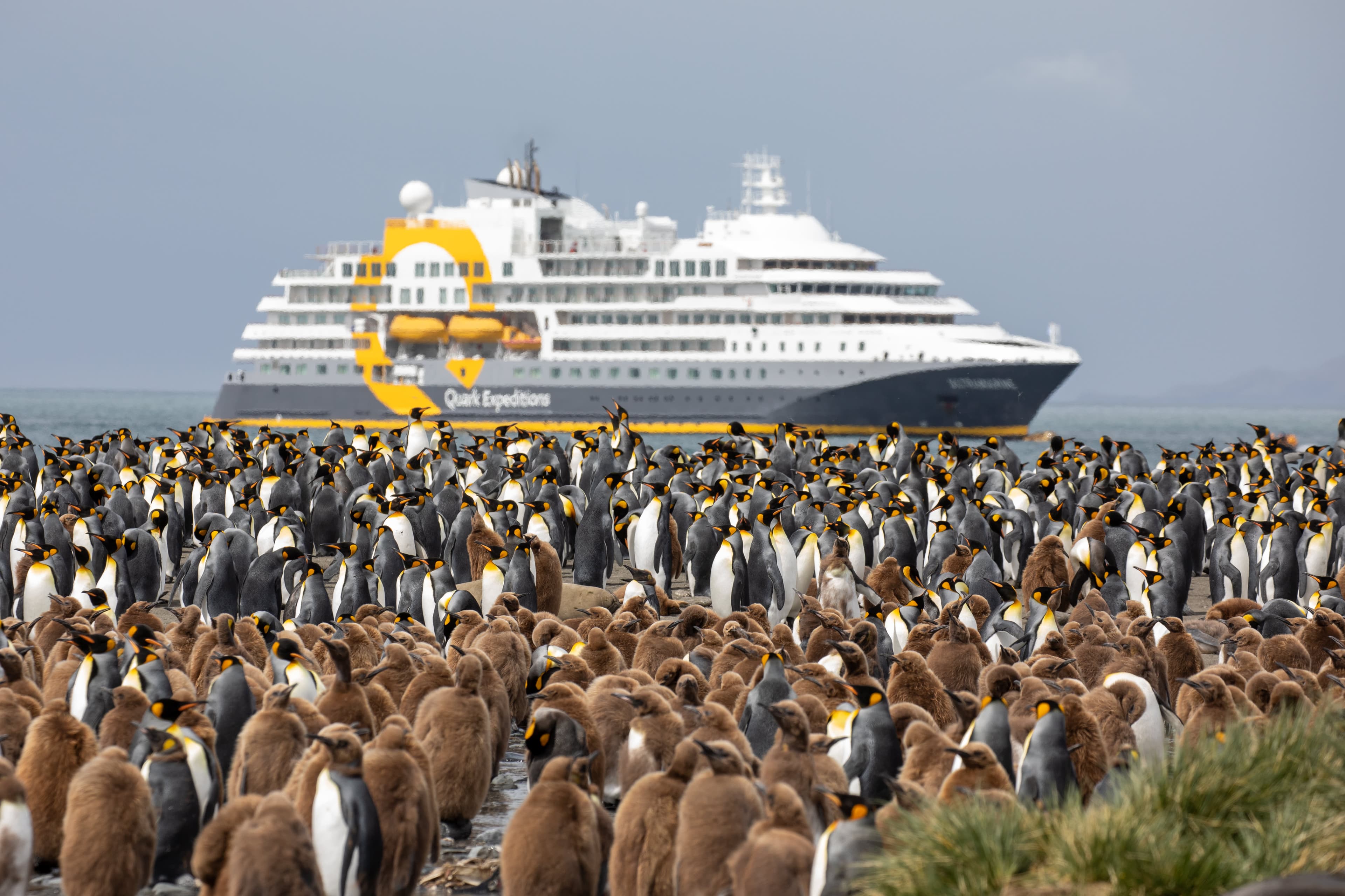 Epic Antarctica: Falklands, South Georgia & Antarctic Circle Crossing via Buenos Aires