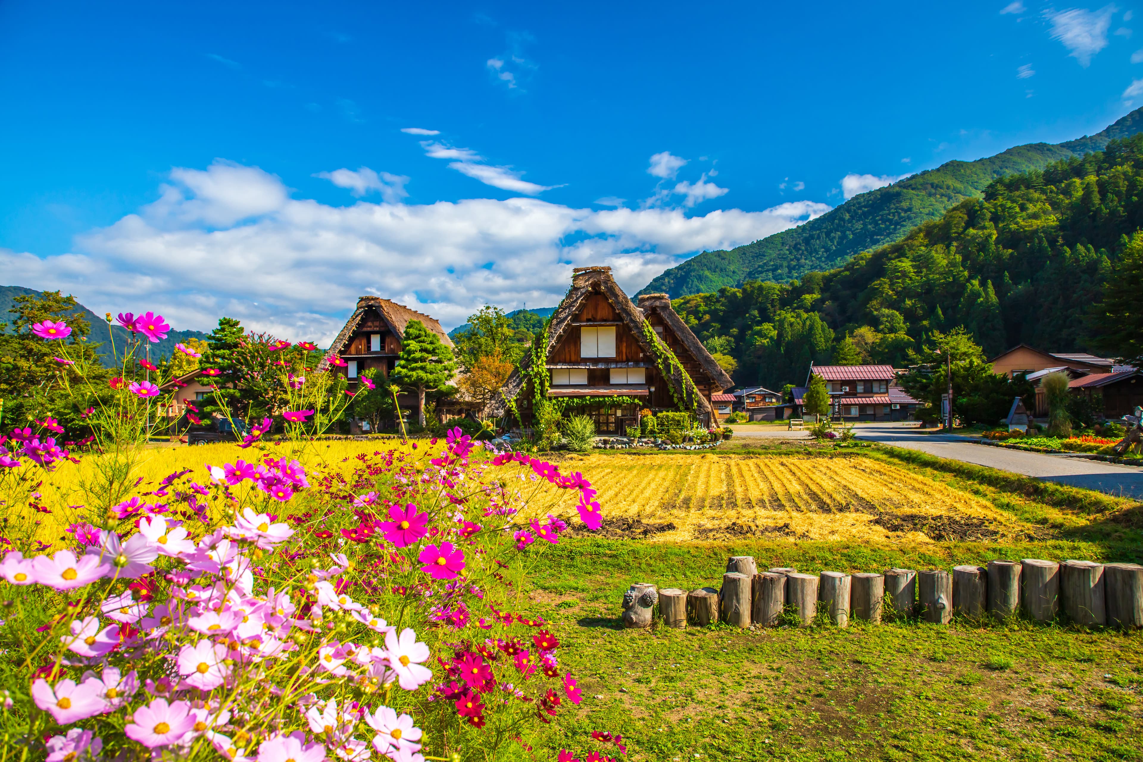 Cycling in Japan