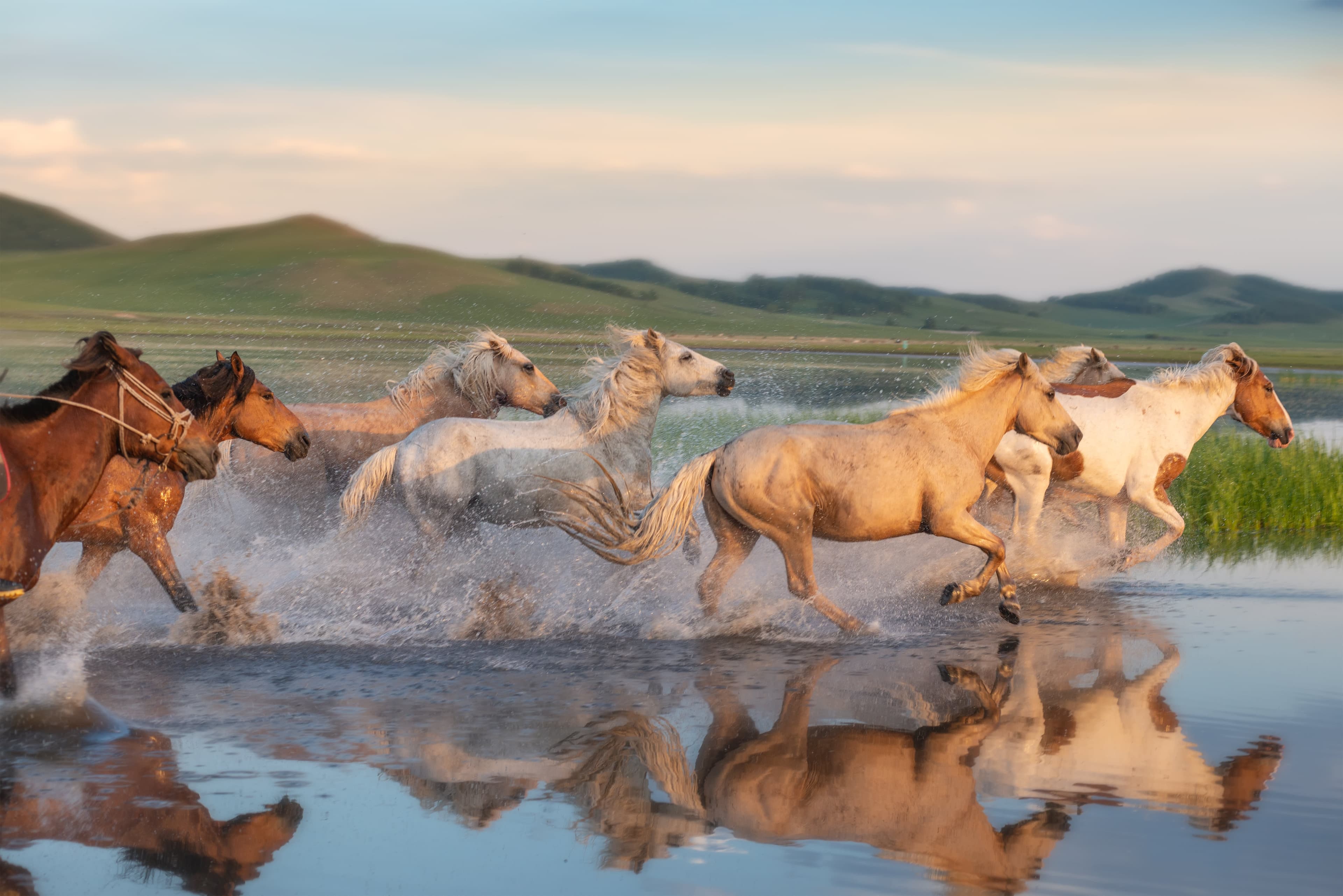 Cycling in Mongolia - Naadam Festival