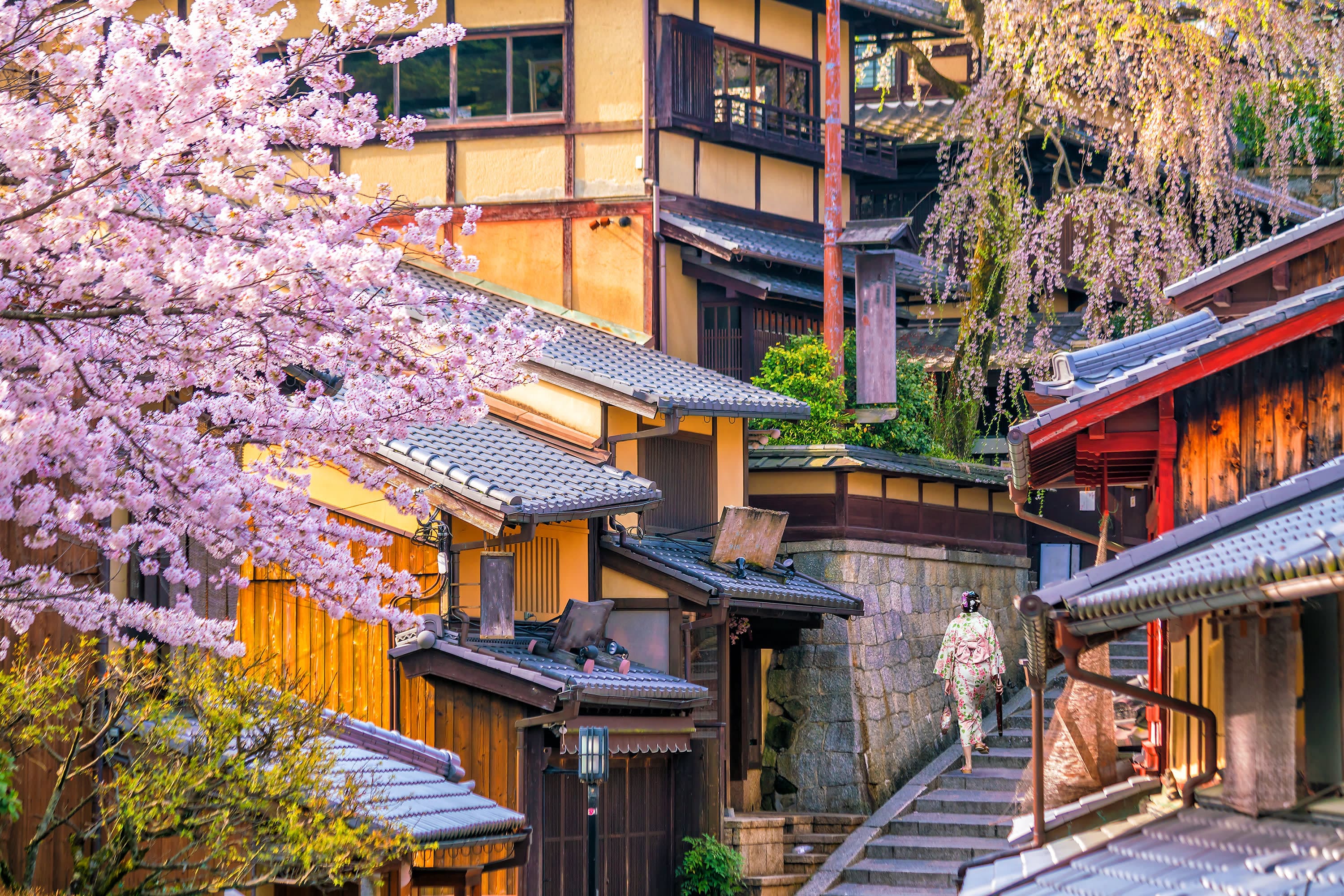 Highlights of Japan