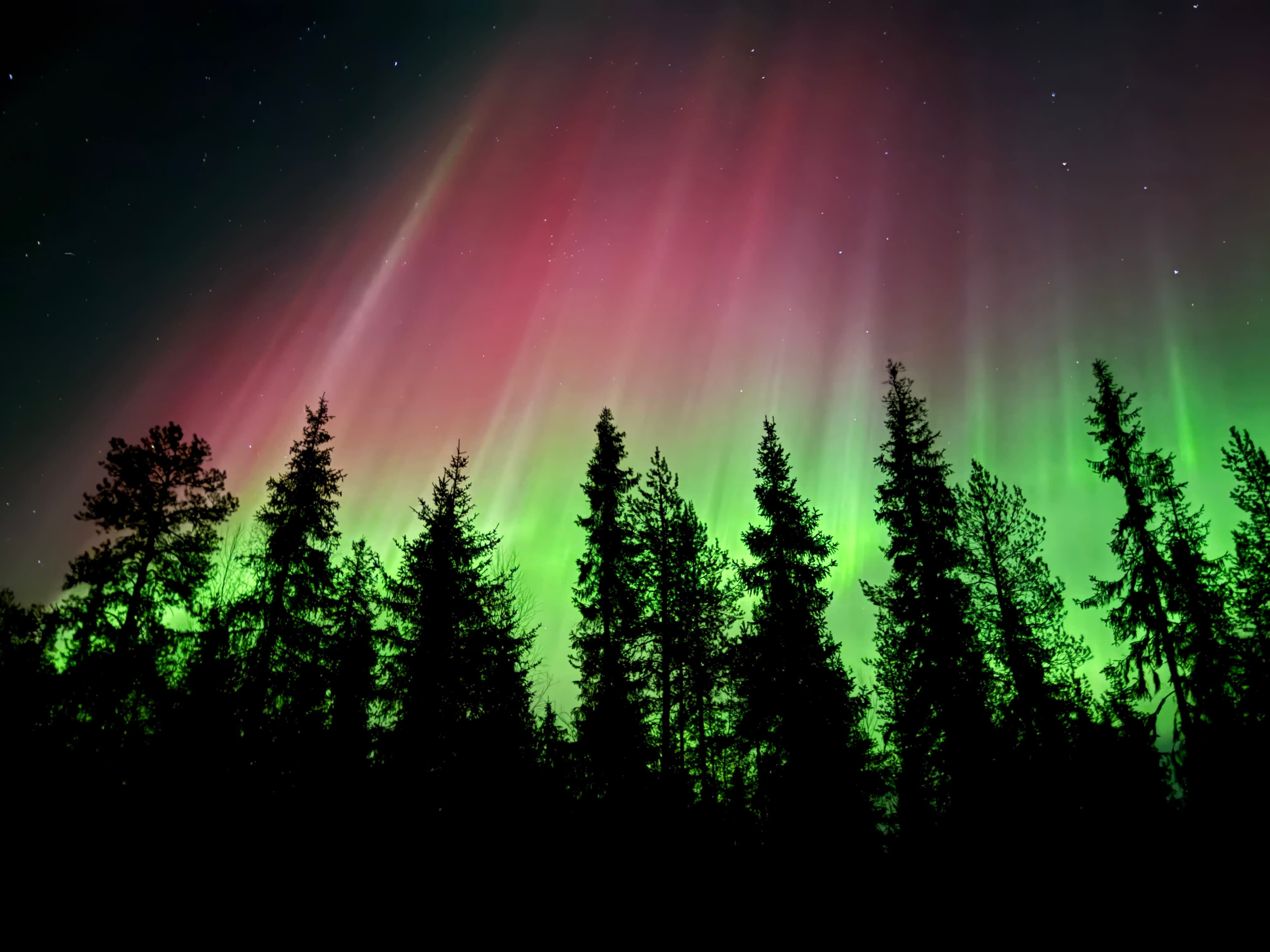 Swedish Lapland Winter Adventure