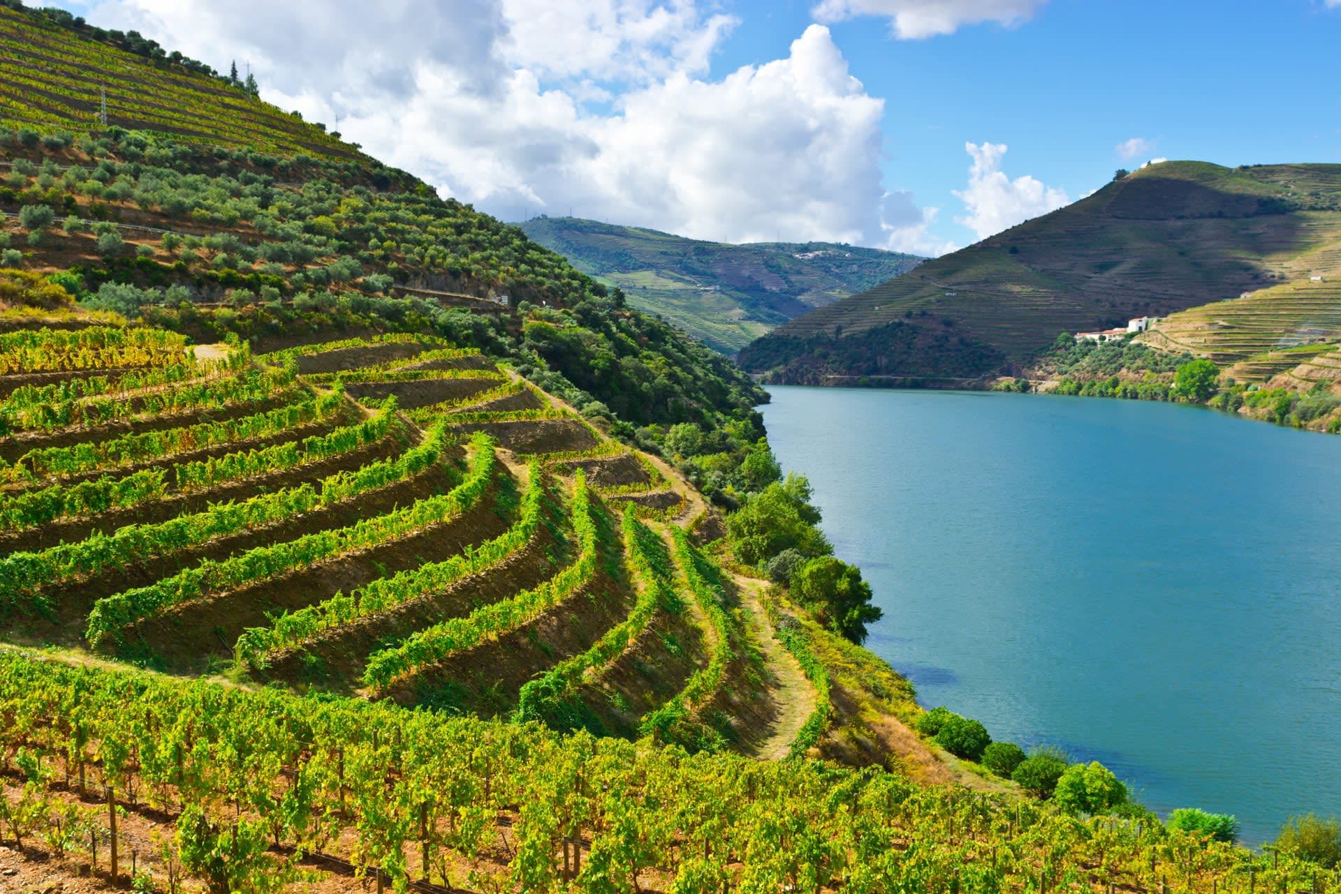 Cycling in the Douro Valley