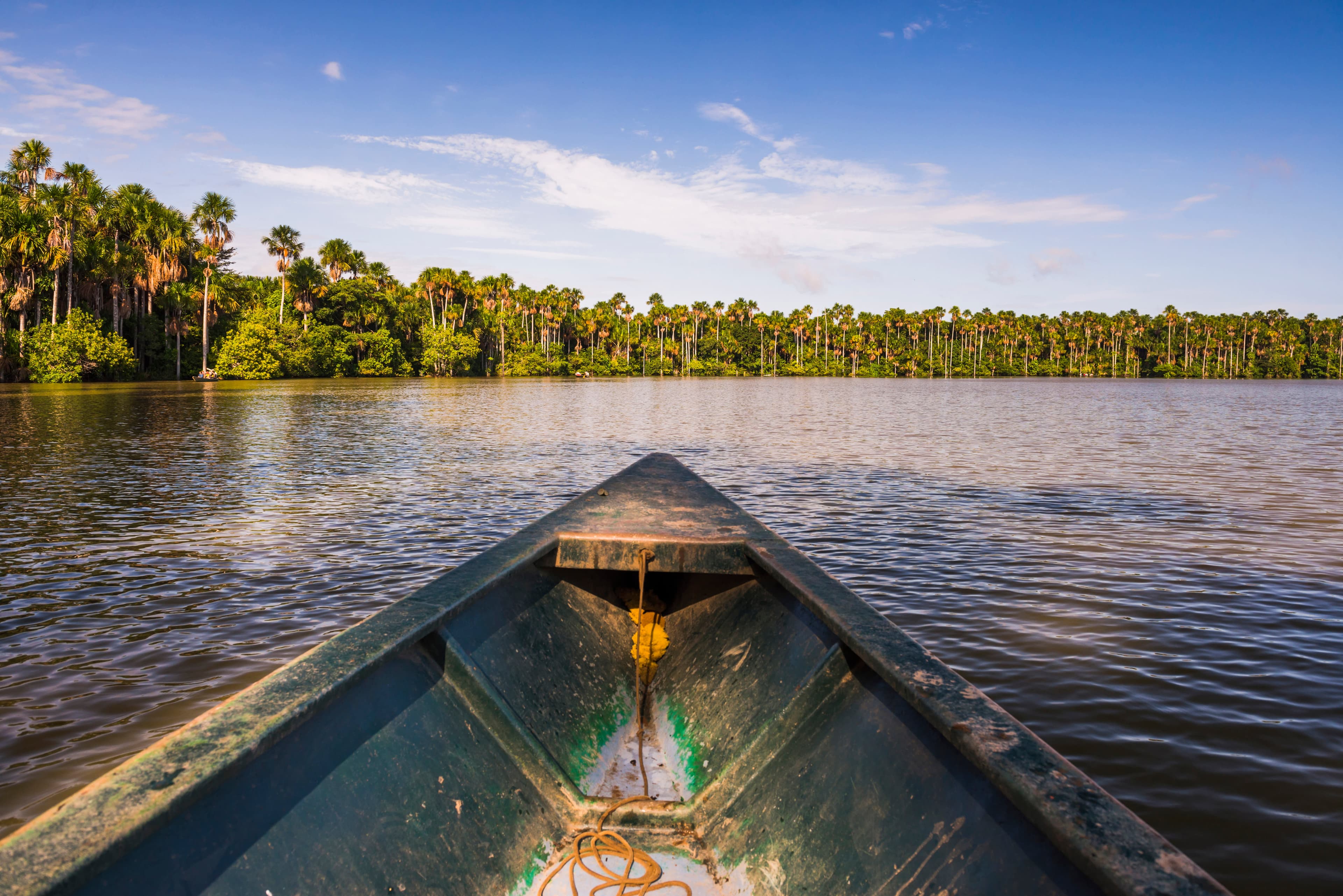Inca Trail & the Amazon Rainforest