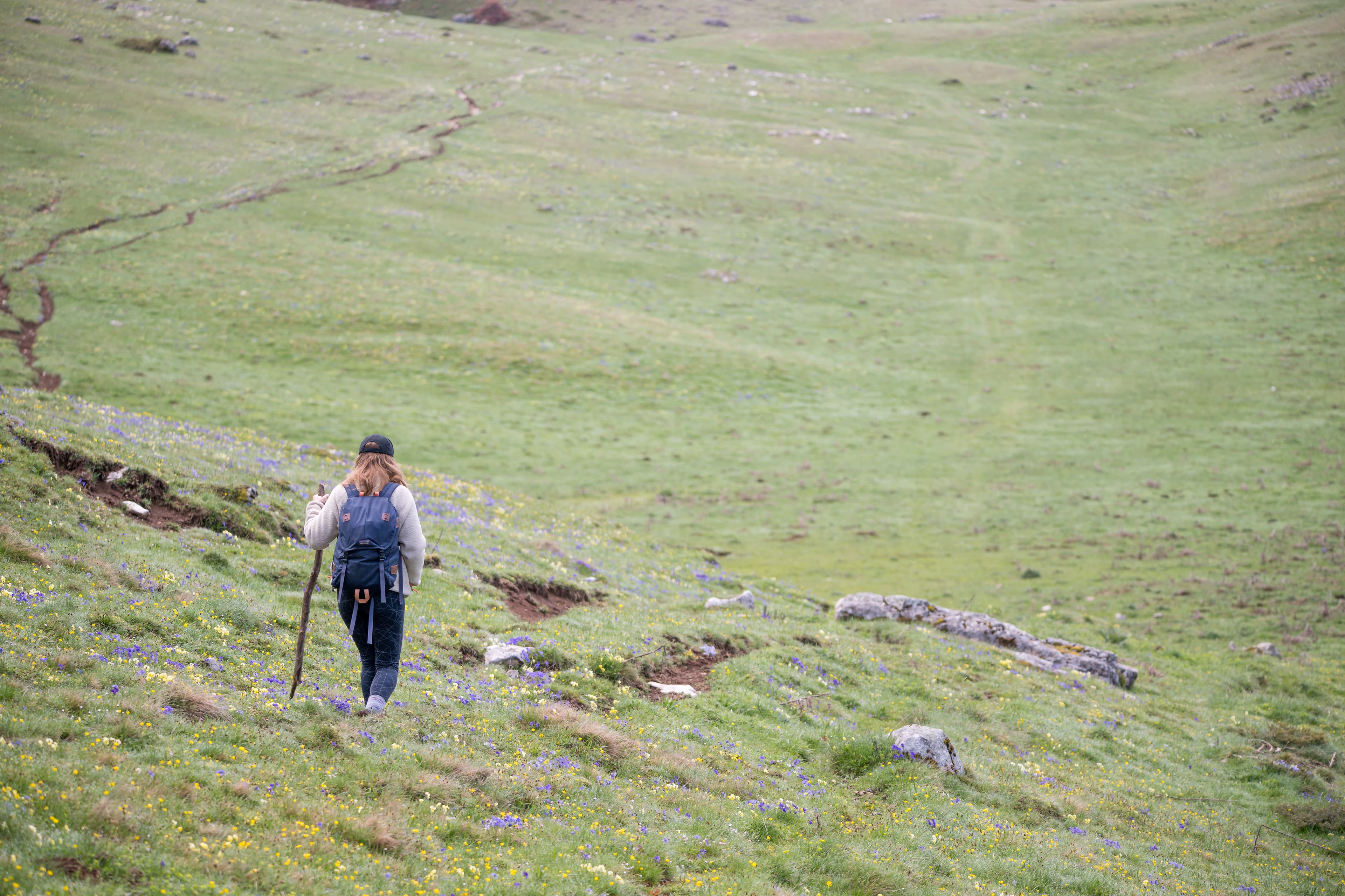Italian Apennines: Walks & Wildlife