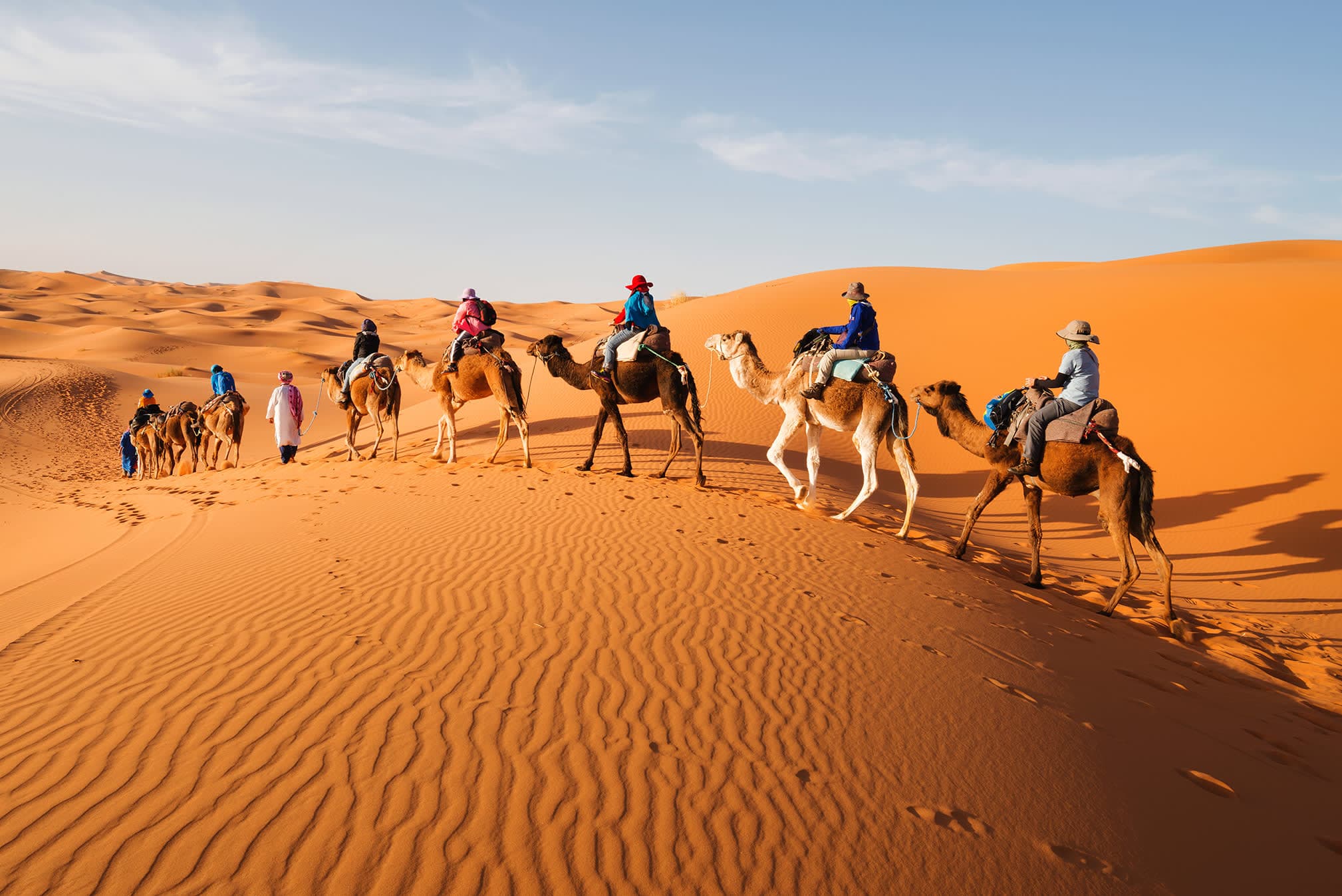 Discover Marrakech & the Sahara