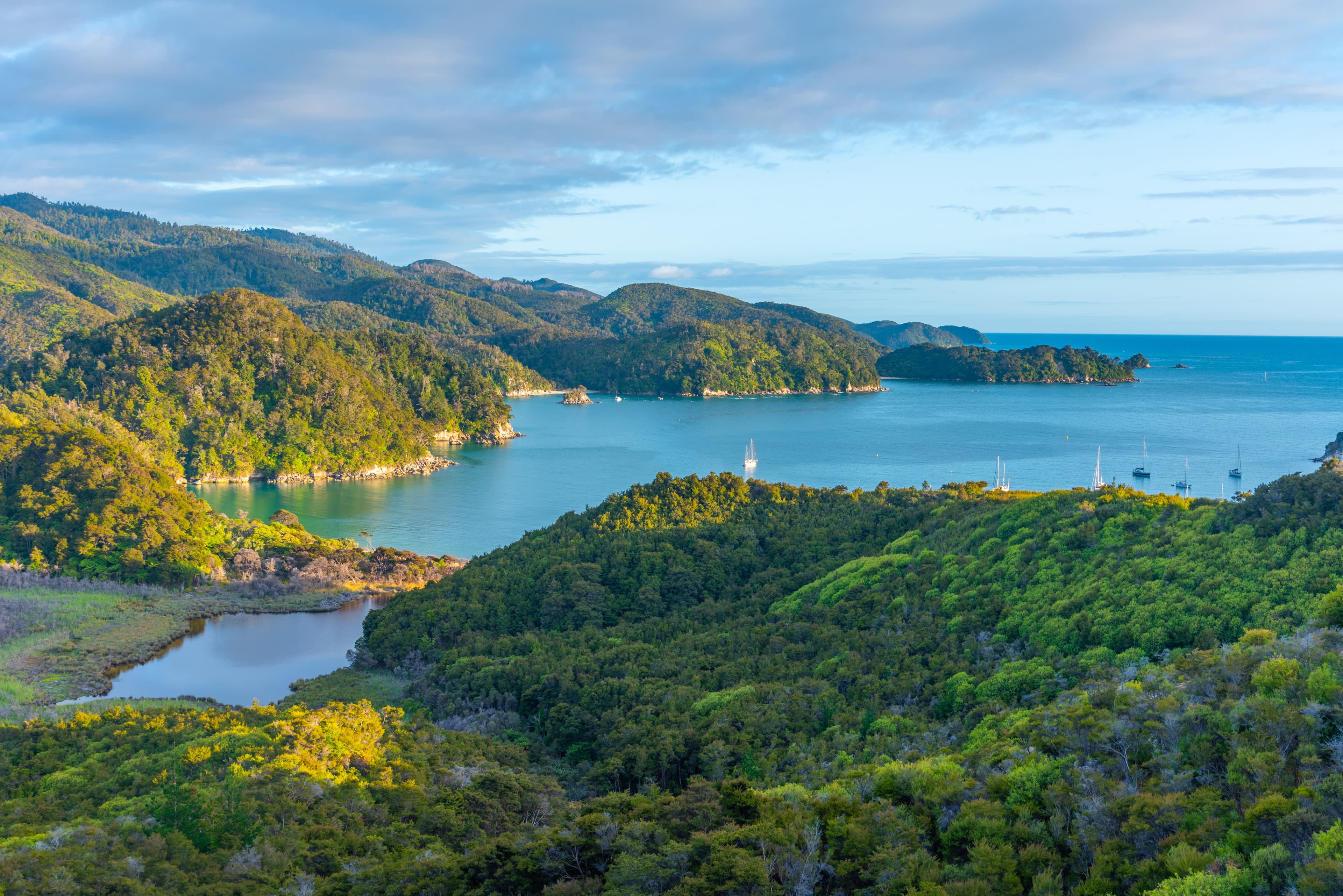 Discover New Zealand