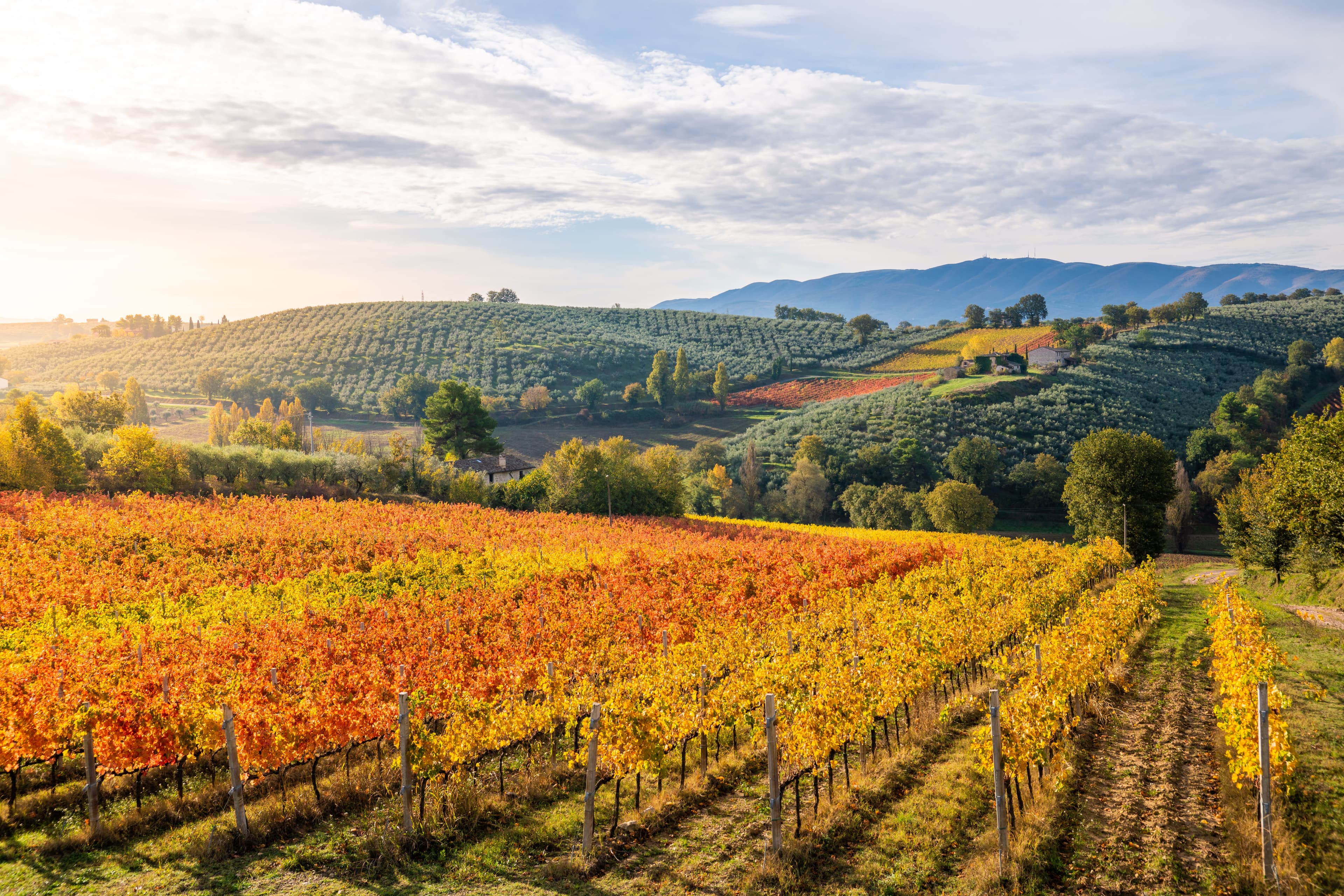 Walking in Rome, Assisi and Umbria - Premium Adventure