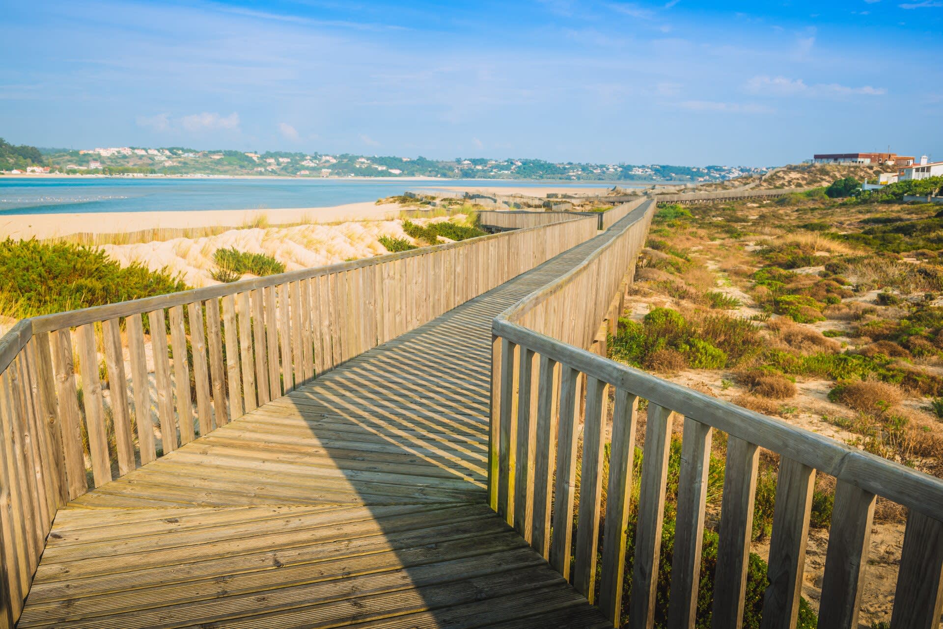 Coimbra to Lisbon Cycling