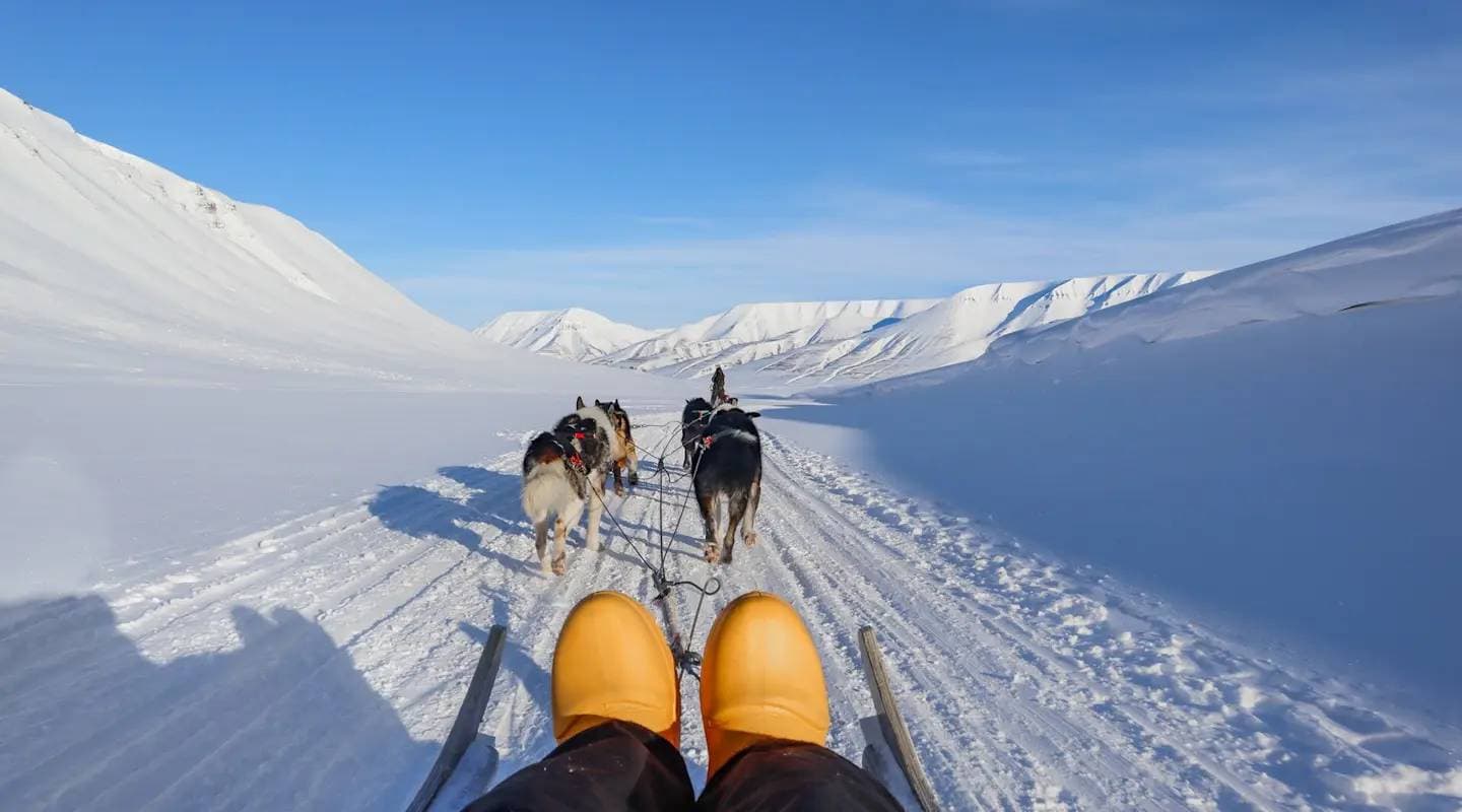 Svalbard Arctic Adventure - Sunny Winter