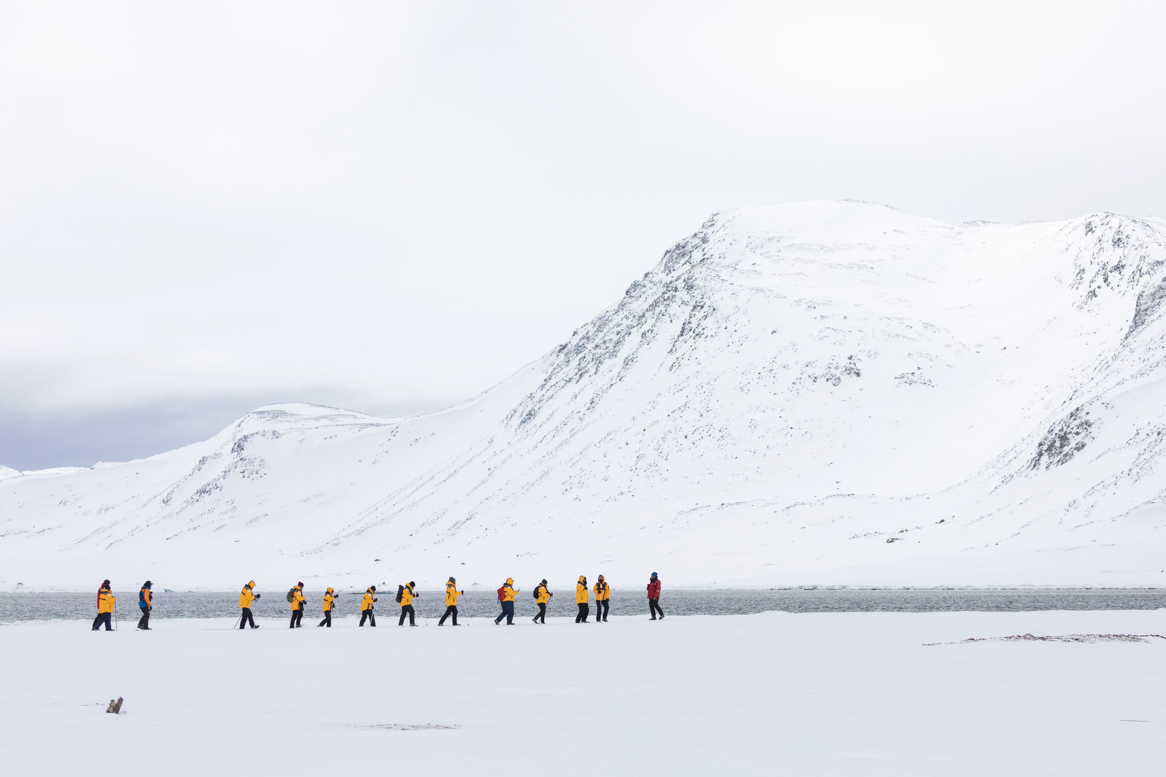 Svalbard in Spring: Sea Ice, Pristine Snow and Wildlife (12 Days)