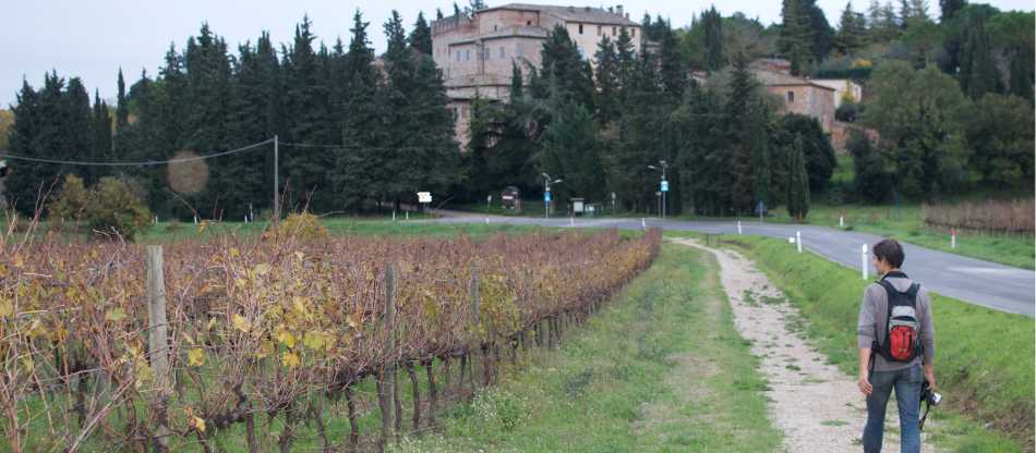 Via Francigena: Fidenza to Tuscany