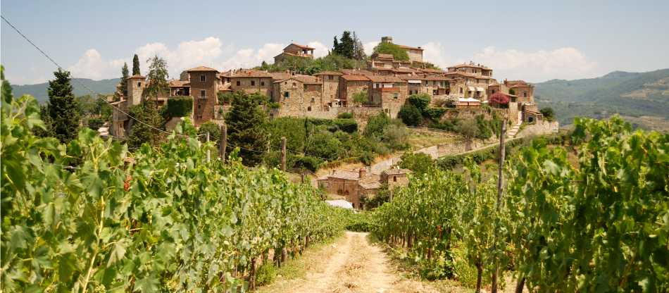 Chianti Highlights Walk