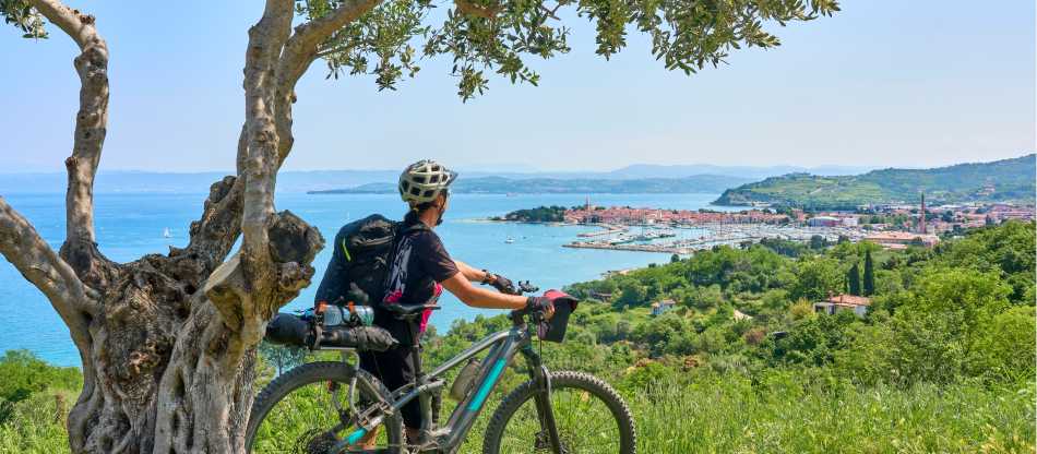 Parenzana Cycle Trail