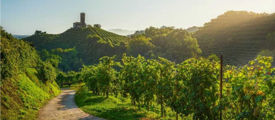Prosecco Trail