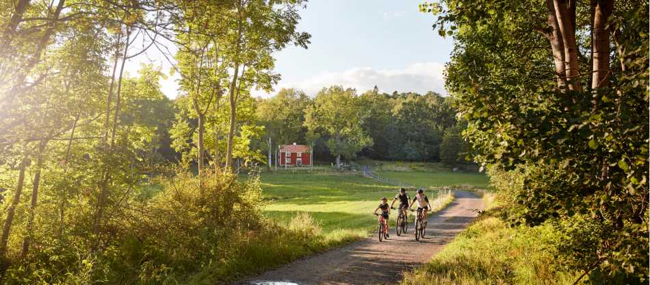 Sweden Summer Family Adventure